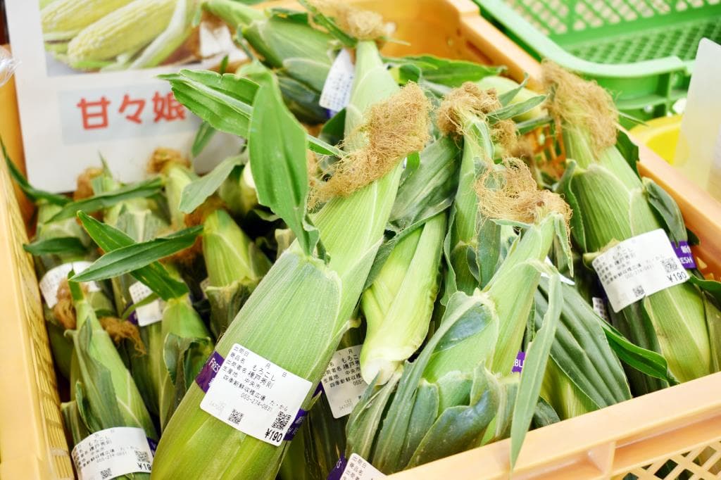 四季新鮮収穫広場「た・から」農産物直売所 3