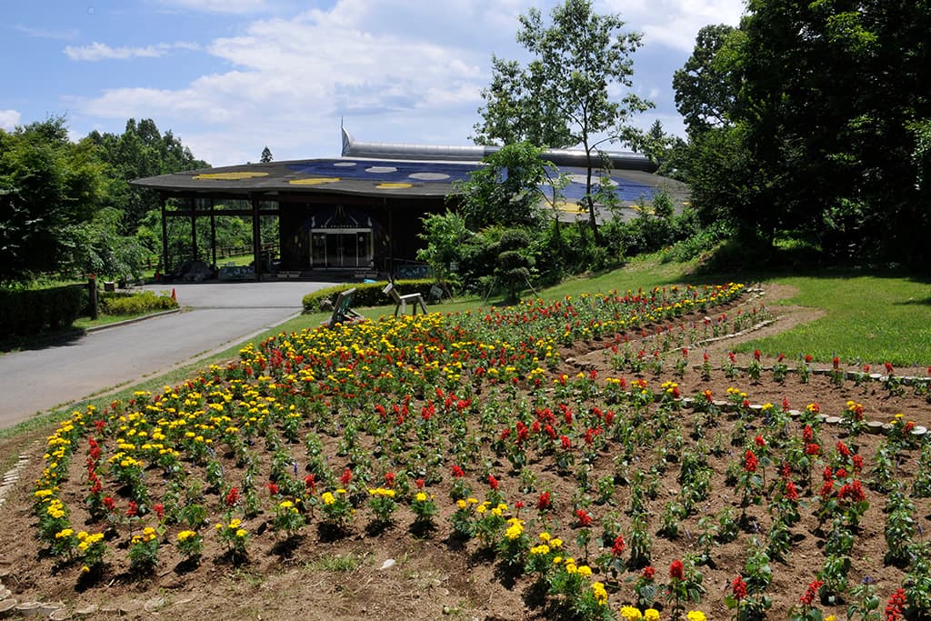 北杜市オオムラサキセンター – 北杜市長坂町 1