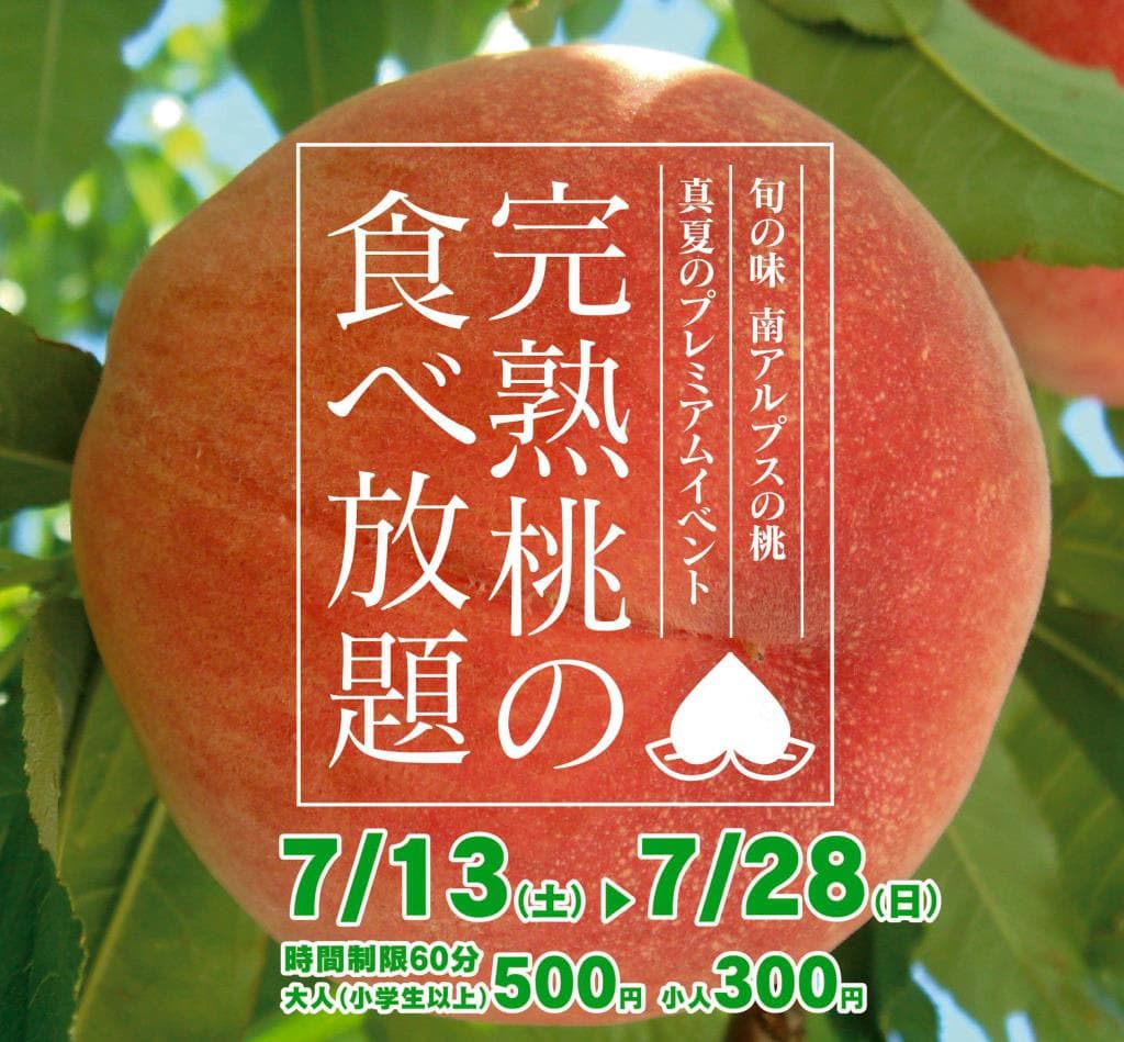 桃好き集まれ!『完熟桃の食べ放題』が道の駅しらね農産物直売所で開催!