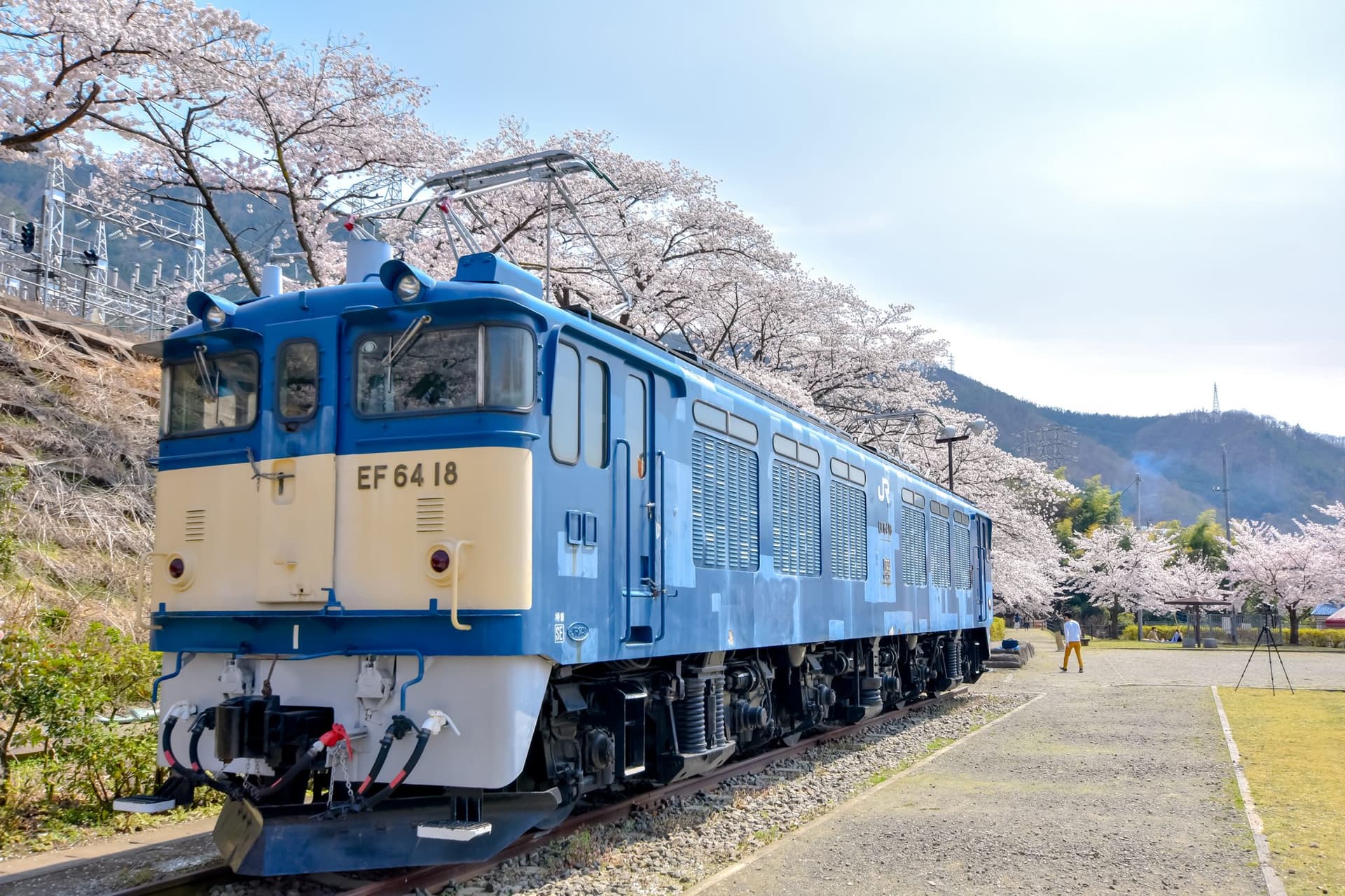 勝沼ぶどう郷駅 甚六桜【甲州市】 1