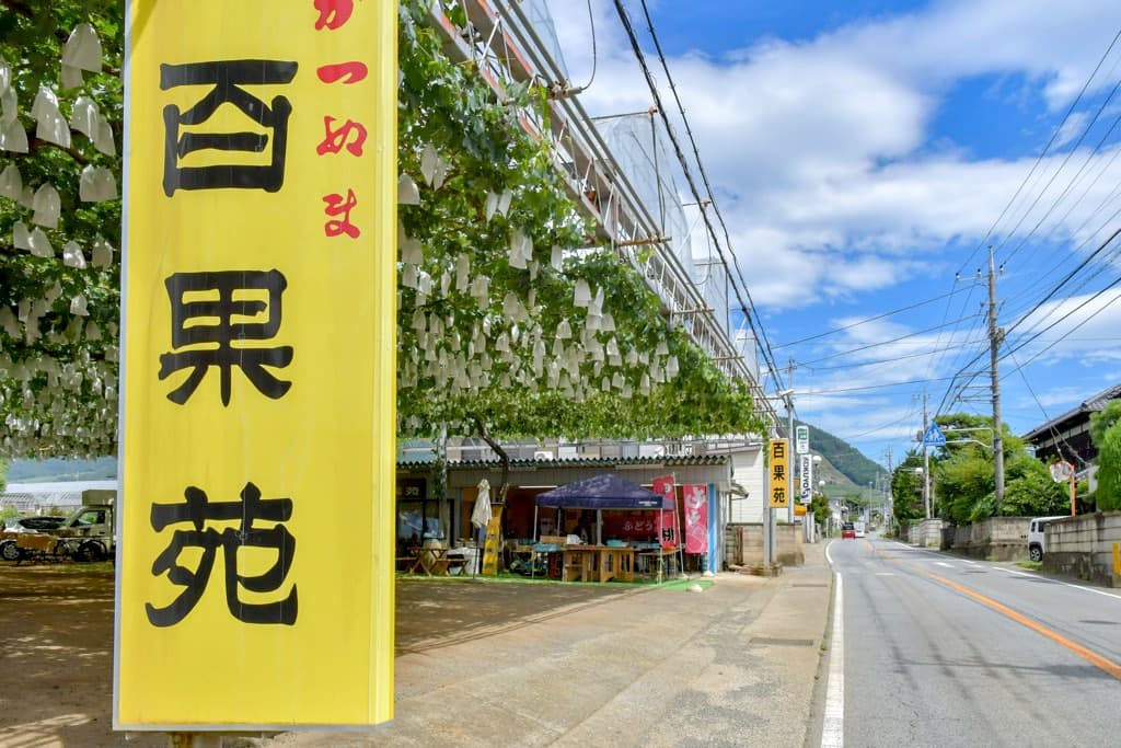 Sop(ソップ)