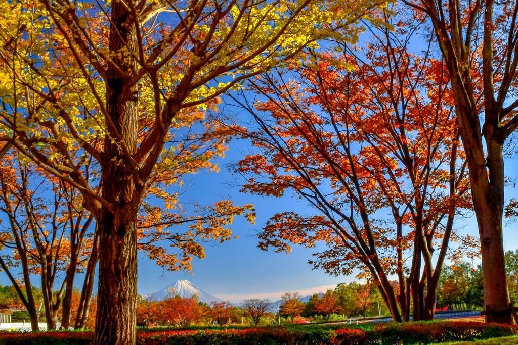 韮崎市中央公園 – 韮崎市