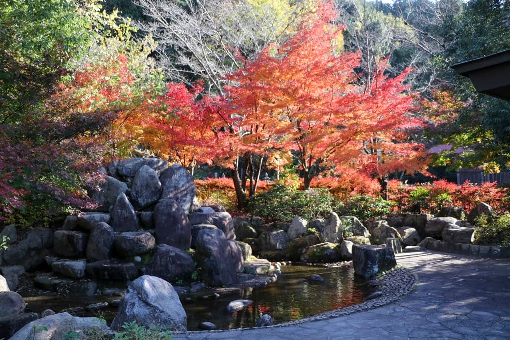 シルクの里公園 – 中央市 1