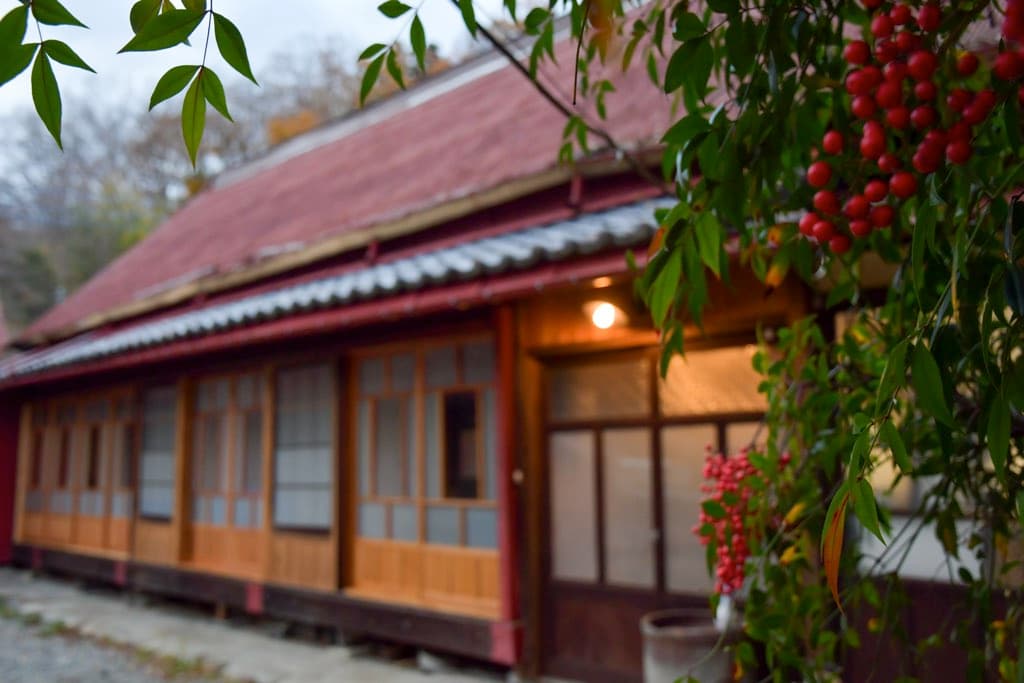 ヤマワラウ手打沢