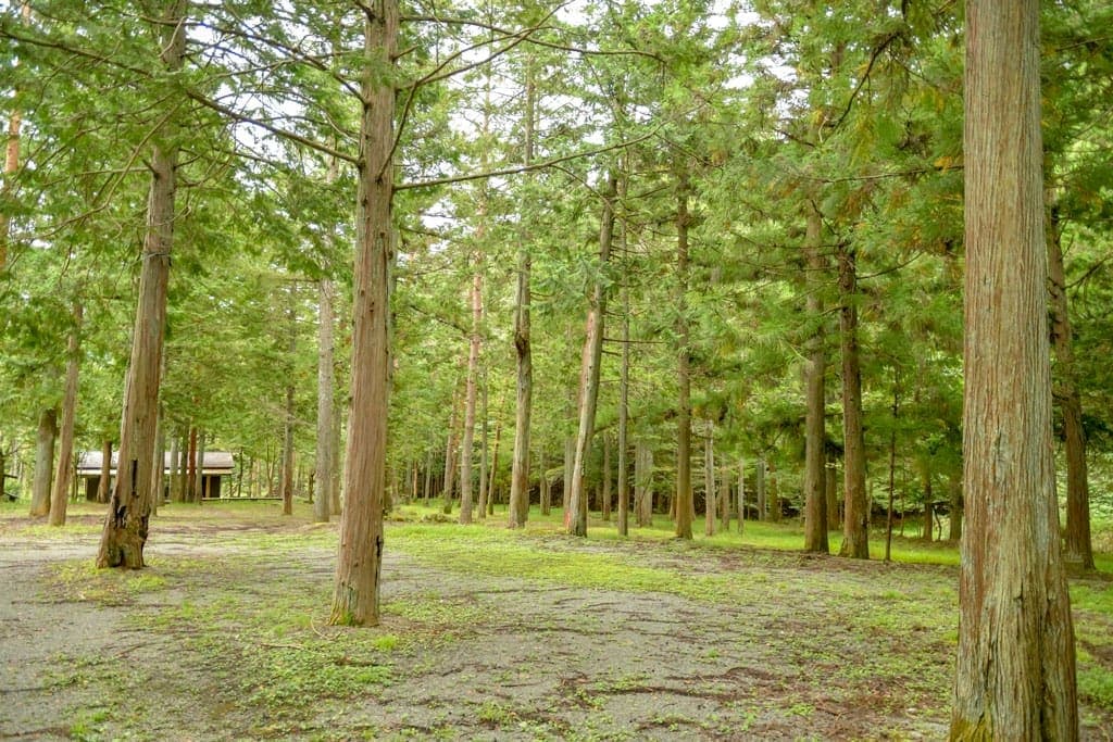 大沢オートキャンプ場 – 都留市