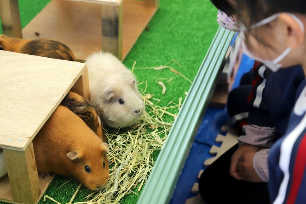 休園中はどうしてる? 甲府市遊亀公園附属動物園 独自の活動で情報発信中!