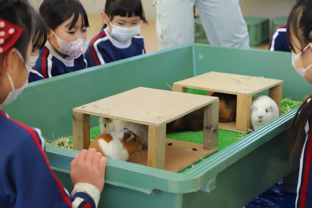 甲府市遊亀公園附属動物園