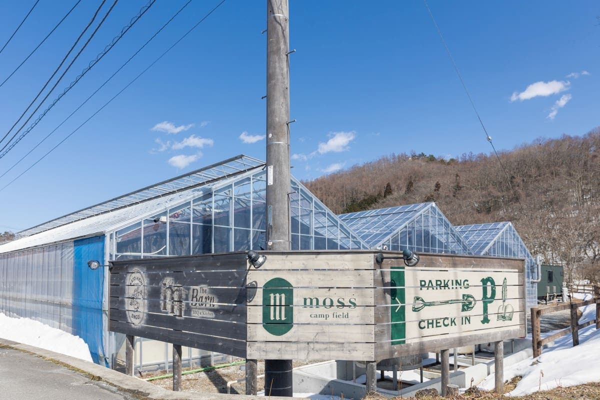 moss camp field – 山中湖村