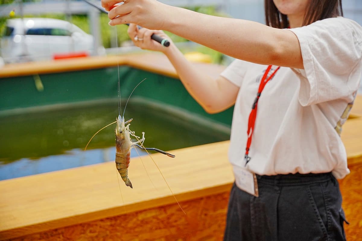【エビ釣りレストランRIKUSAKU / 甲斐市】日本初のエビ釣り体験と絶品フードメニュー 2024年6月15日オープン!