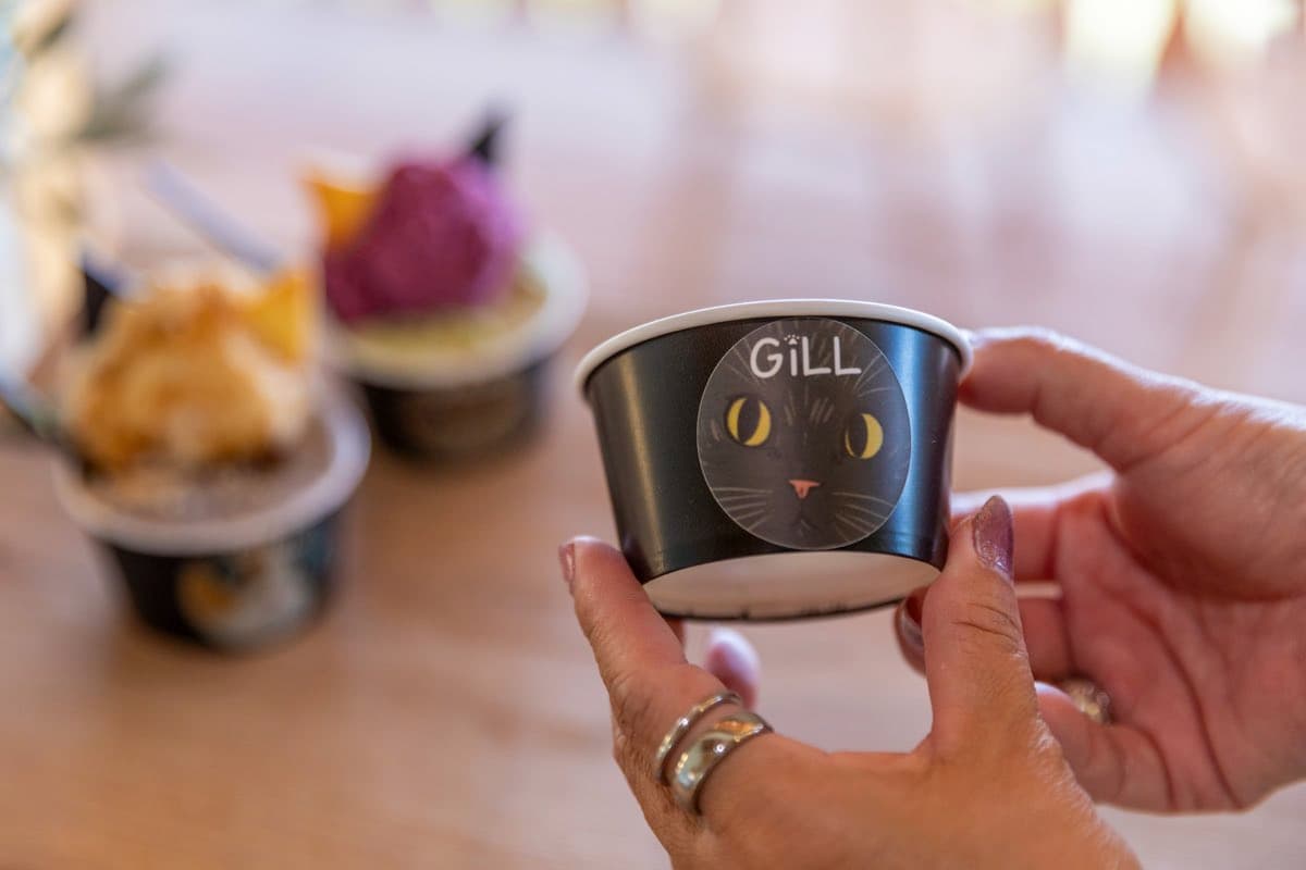 GiLL by le.chat.des.bois