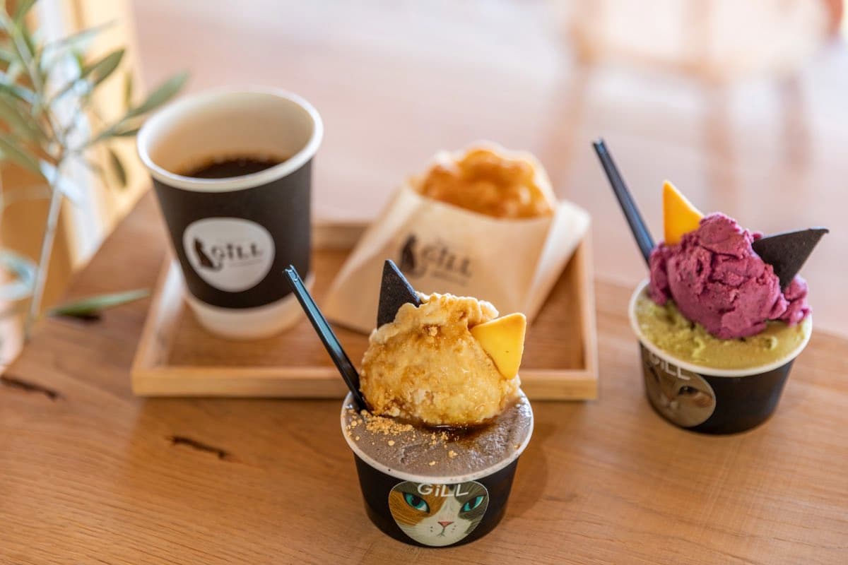 【GiLL by le.chat.des.bois / 北杜市】猫雑貨と可愛いネコちゃんジェラートのお店2025年4月5日オープン