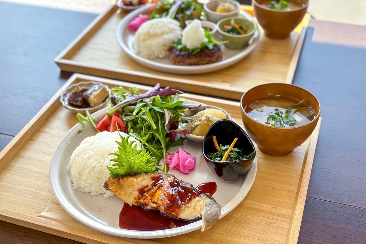 寺カフェ いちょうの樹