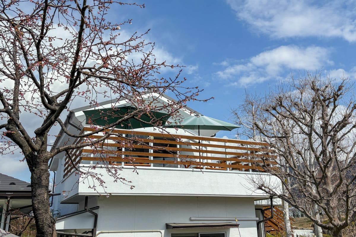 寺カフェ いちょうの樹
