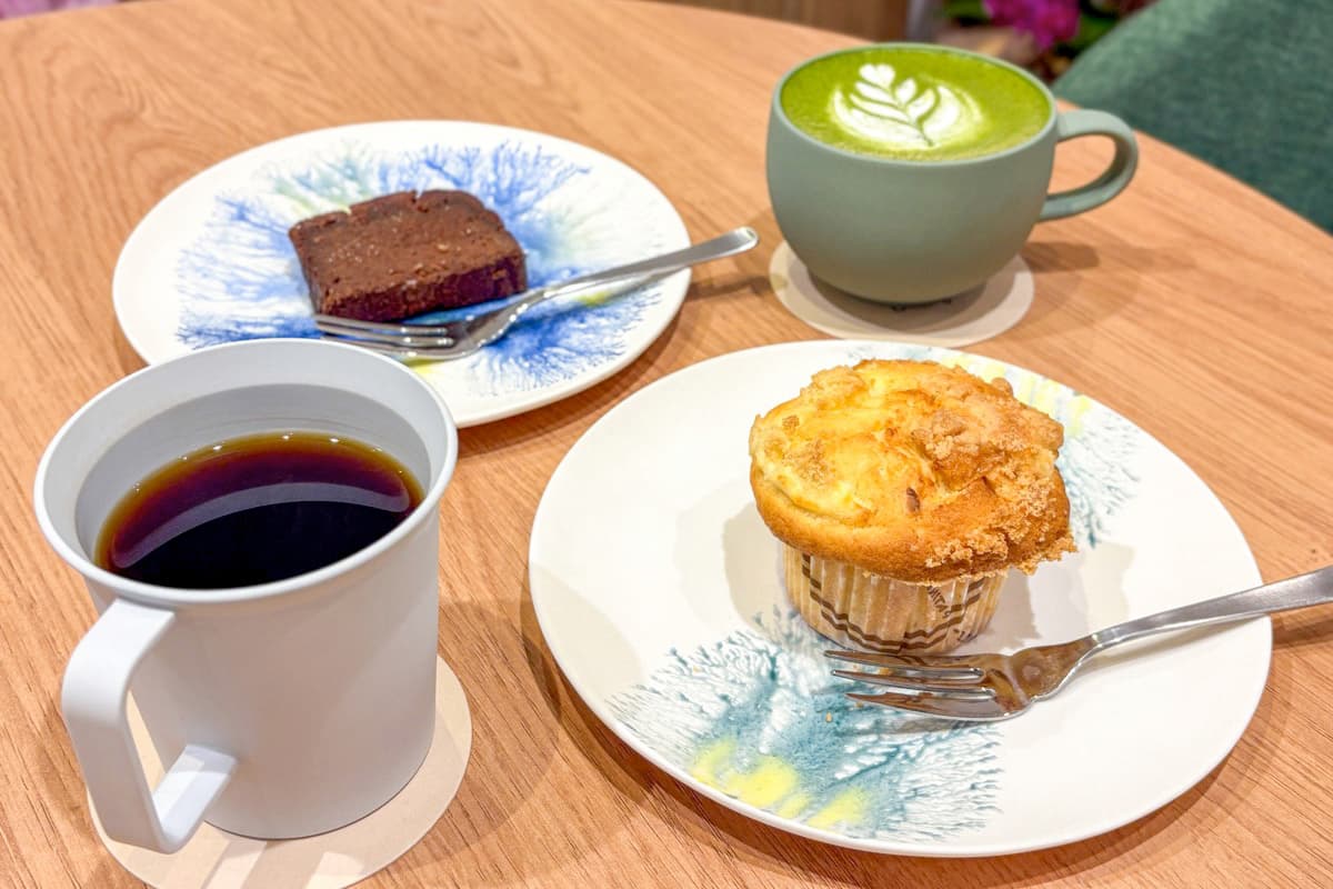 【met coffee bar / 甲府市】昼はカフェ、夜はバーとして楽しむ隠れ家オアシス2026年4月12日オープン