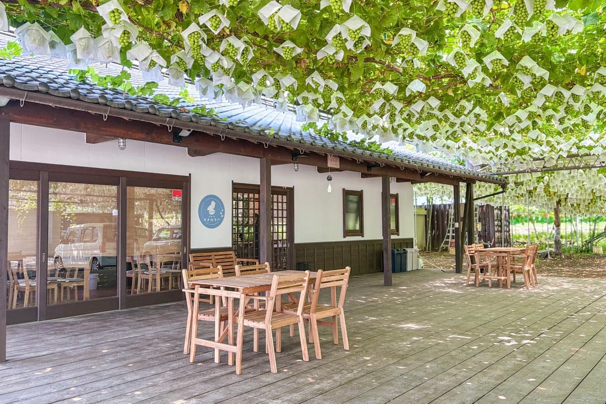 Cafe マメルリハ