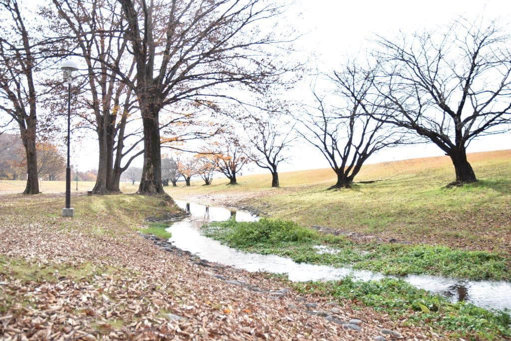 信玄堤公園 1