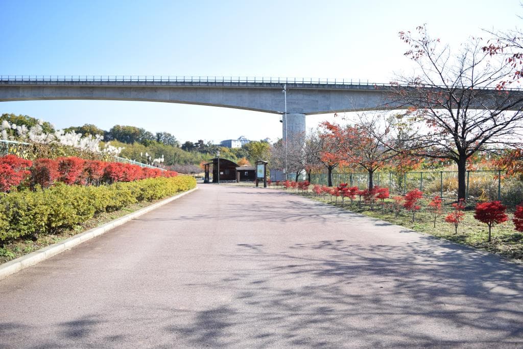 双葉水辺公園 5