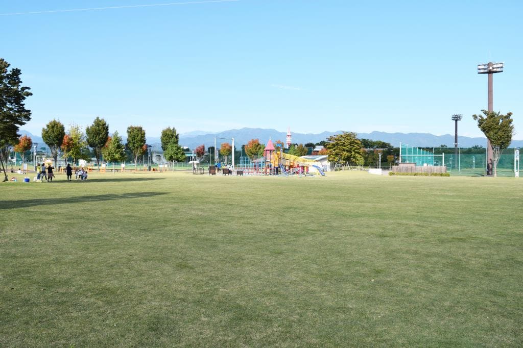 押原公園(ゆめパーク昭和) 2