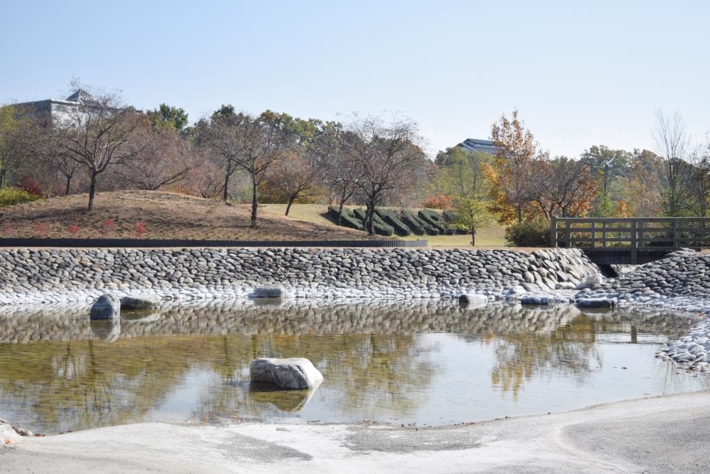 双葉水辺公園 2