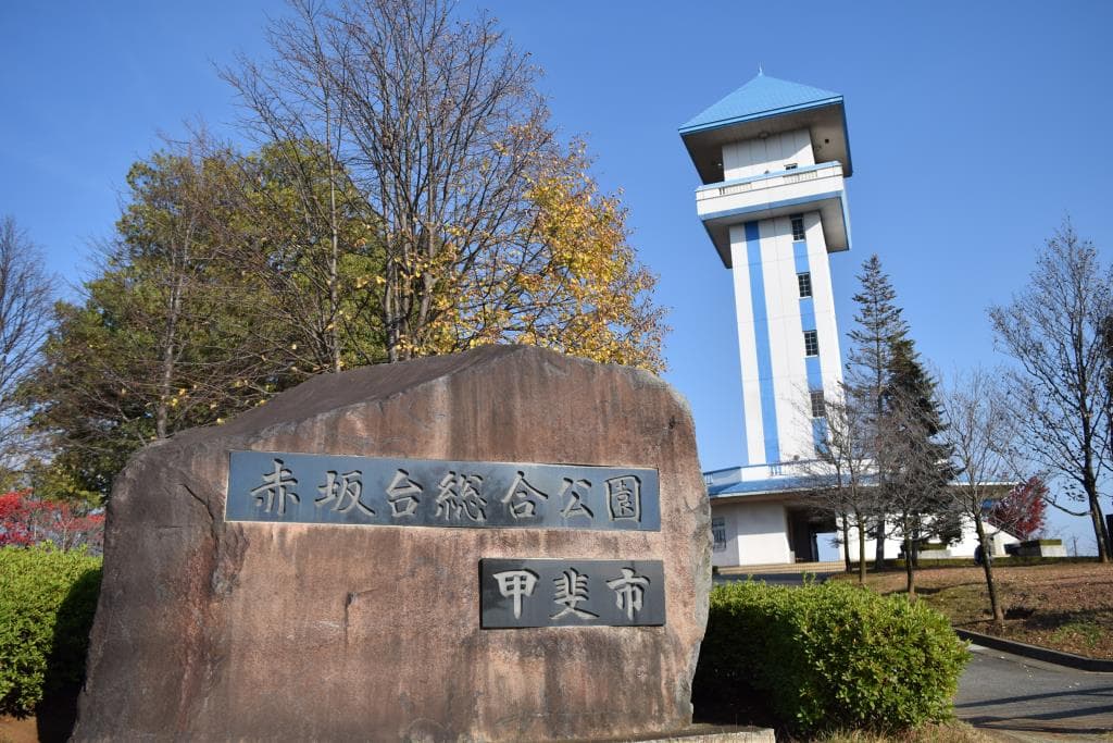 赤坂台総合公園(ドラゴンパーク) 1