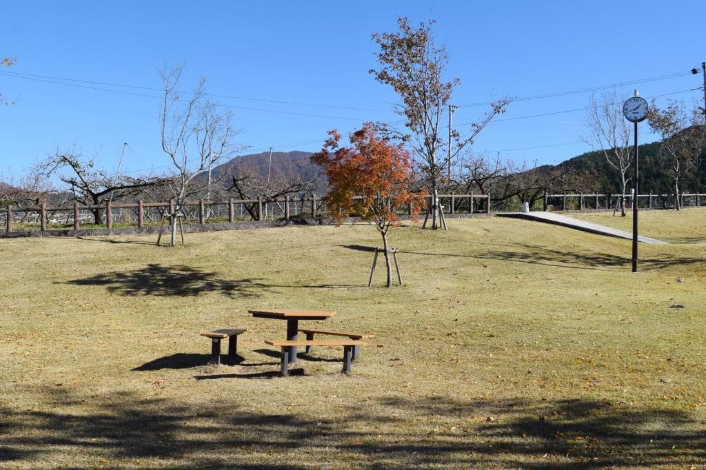 八代ふるさと公園 3