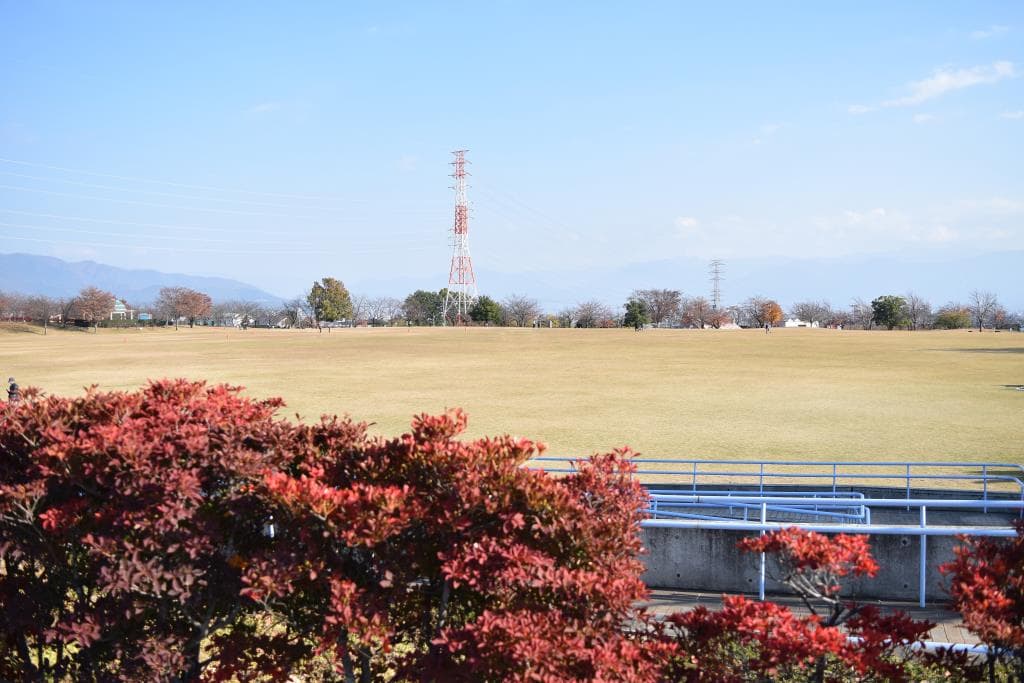 赤坂台総合公園(ドラゴンパーク) 2