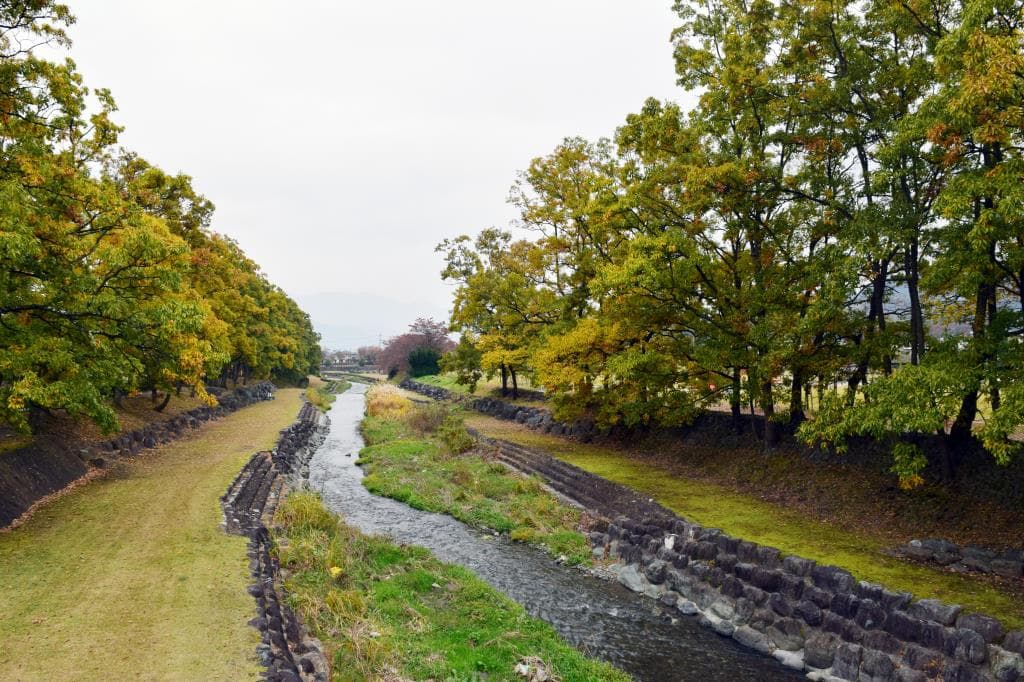櫛形総合公園 5