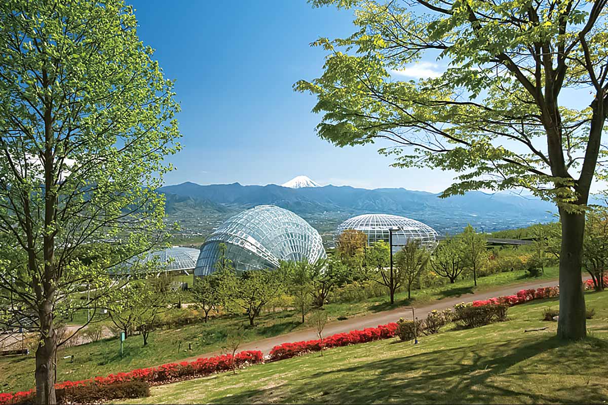 山梨県笛吹川フルーツ公園 1