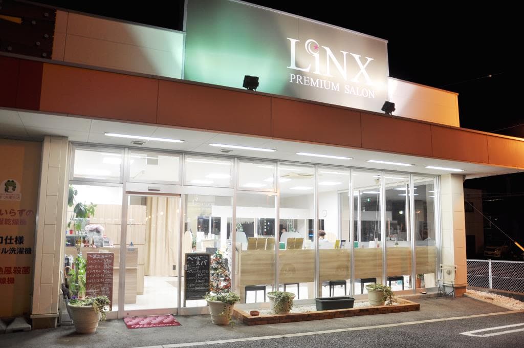 LiNX PREMIUM SALON 1