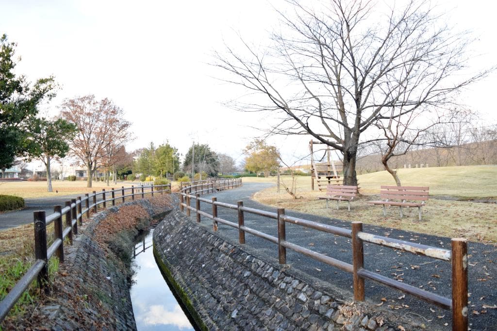 遊・湯ふれあい公園 後楽園スポーツクラブ 5