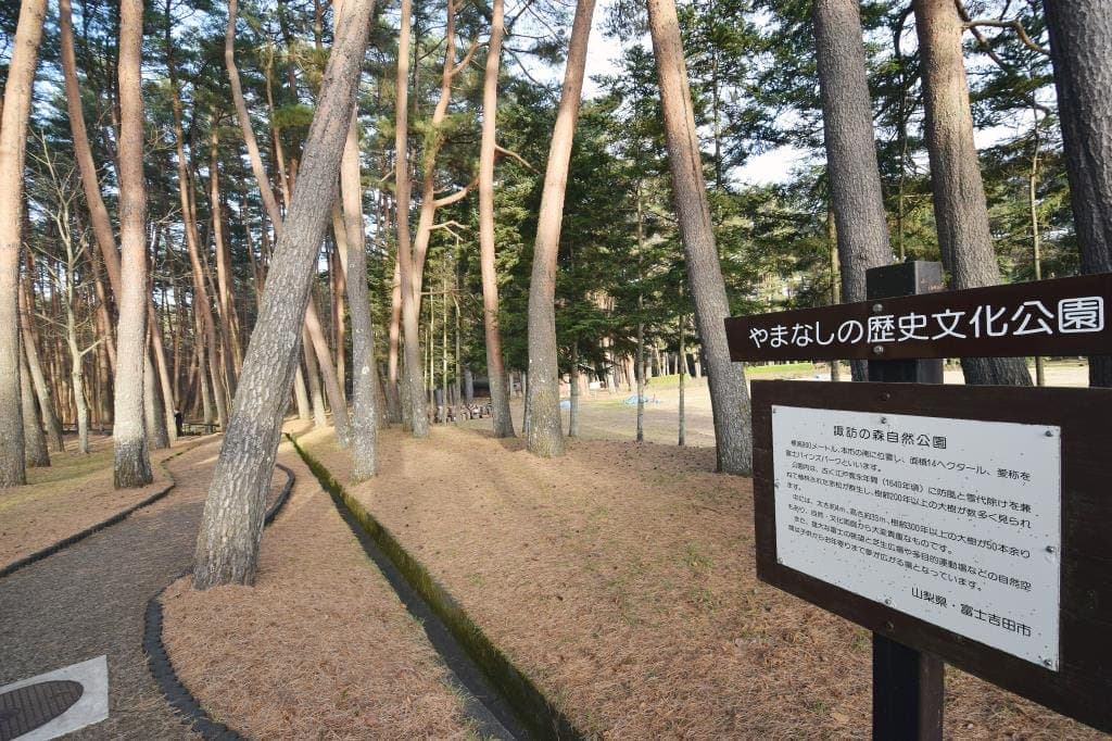 諏訪の森自然公園(富士パインズパーク) 2
