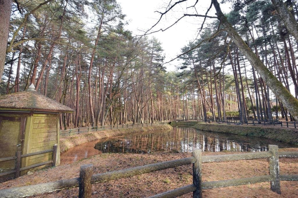 諏訪の森自然公園(富士パインズパーク) 3