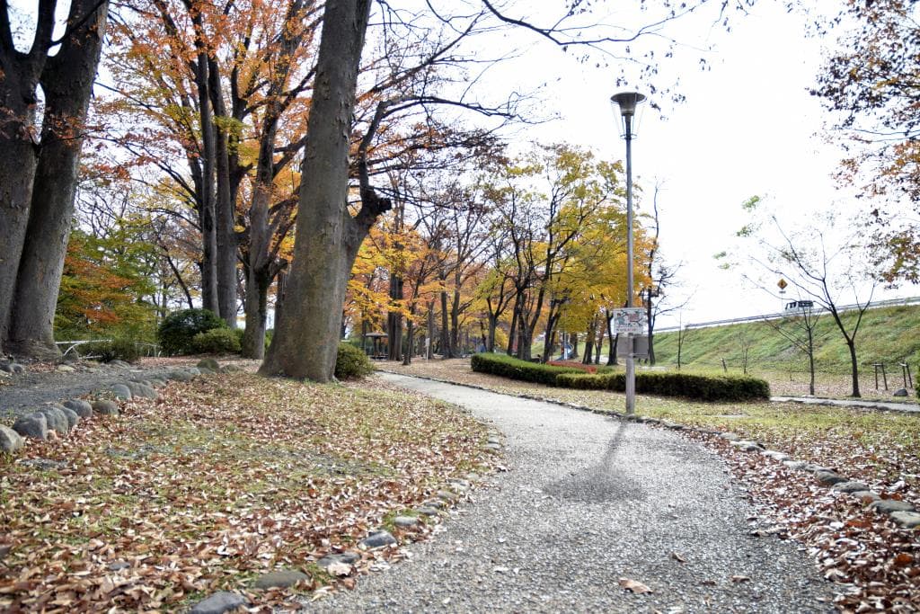 釜無川スポーツ公園 2