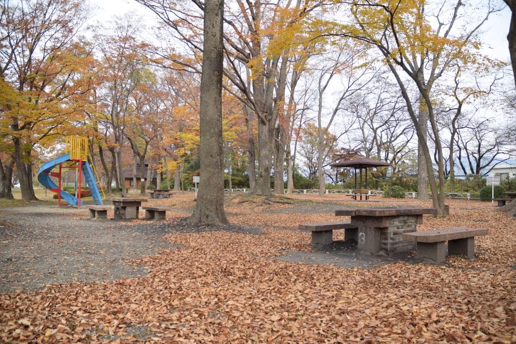 釜無川スポーツ公園 5