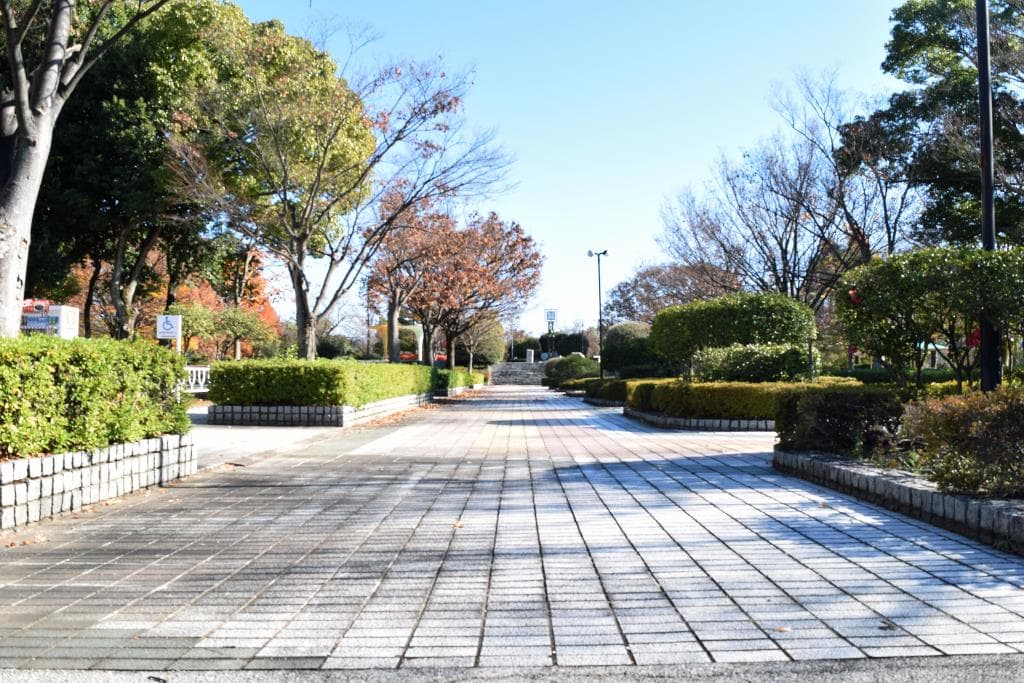 国母公園 1