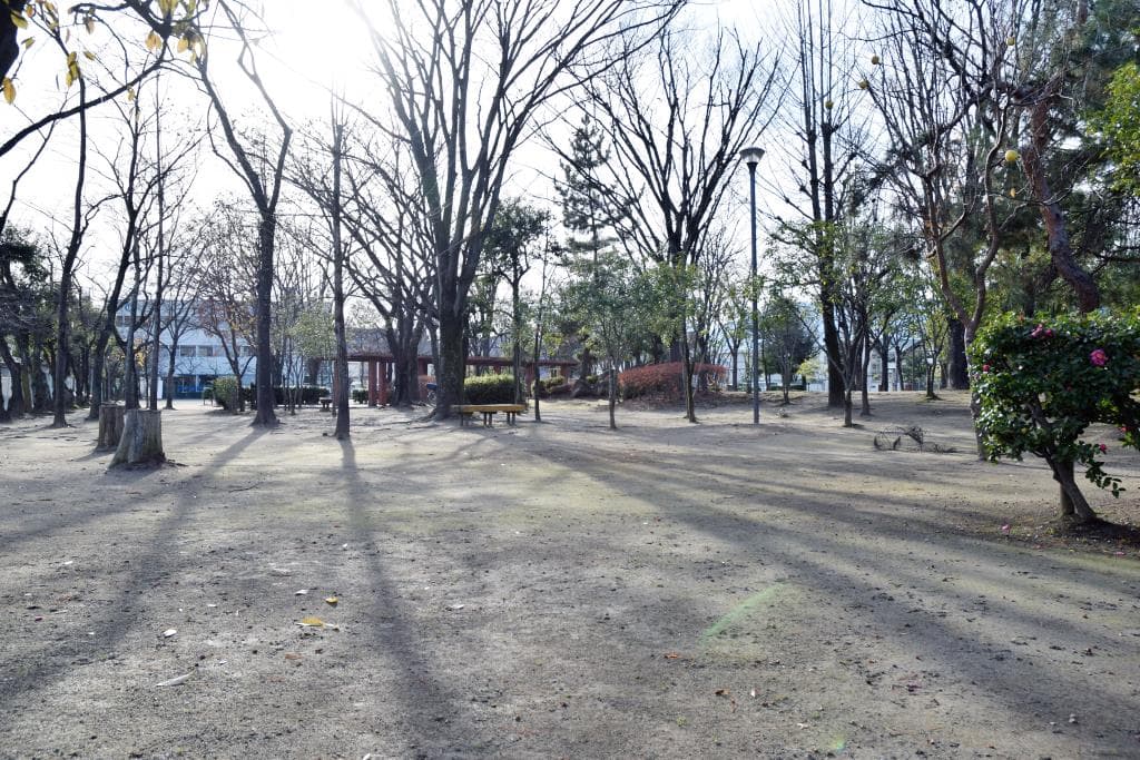 南西第三公園 1