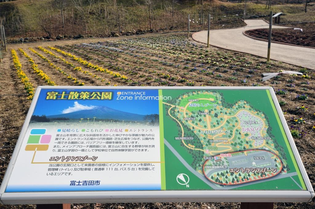 富士散策公園 5