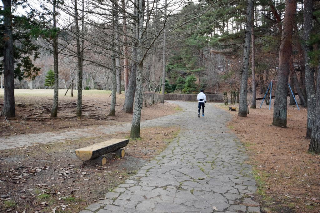 河口湖総合公園 1