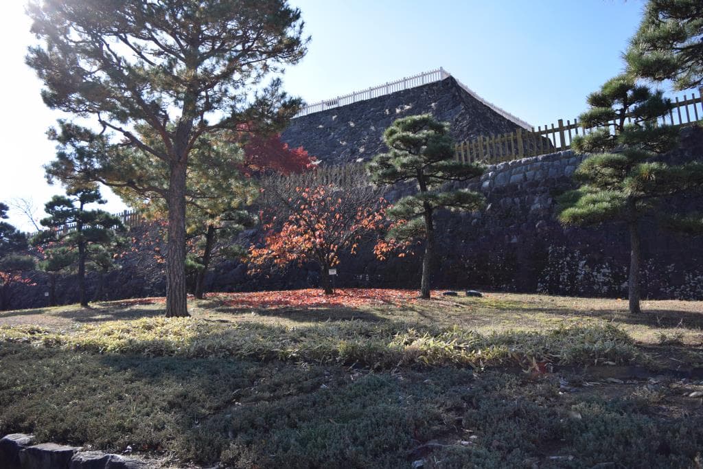 舞鶴城公園 3
