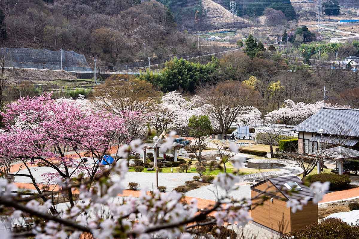御坂路さくら公園オートキャンプ場 3