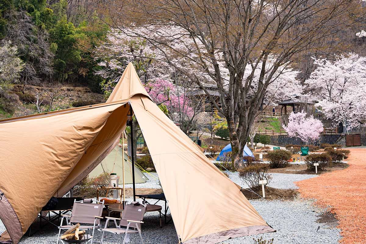 御坂路さくら公園オートキャンプ場 1