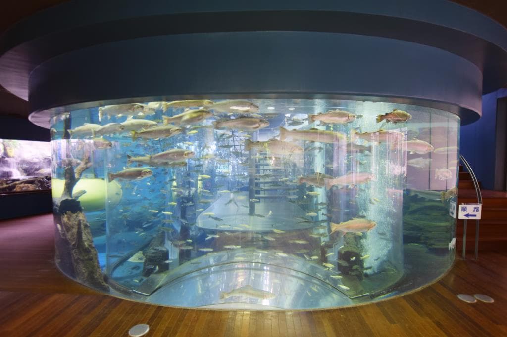 富士湧水の里水族館(森の中の水族館。) 2
