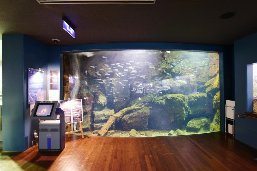 富士湧水の里水族館(森の中の水族館。) 3