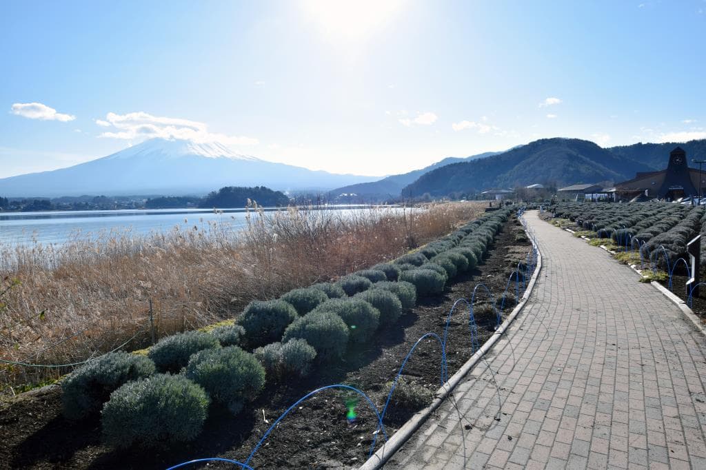 大石公園 1