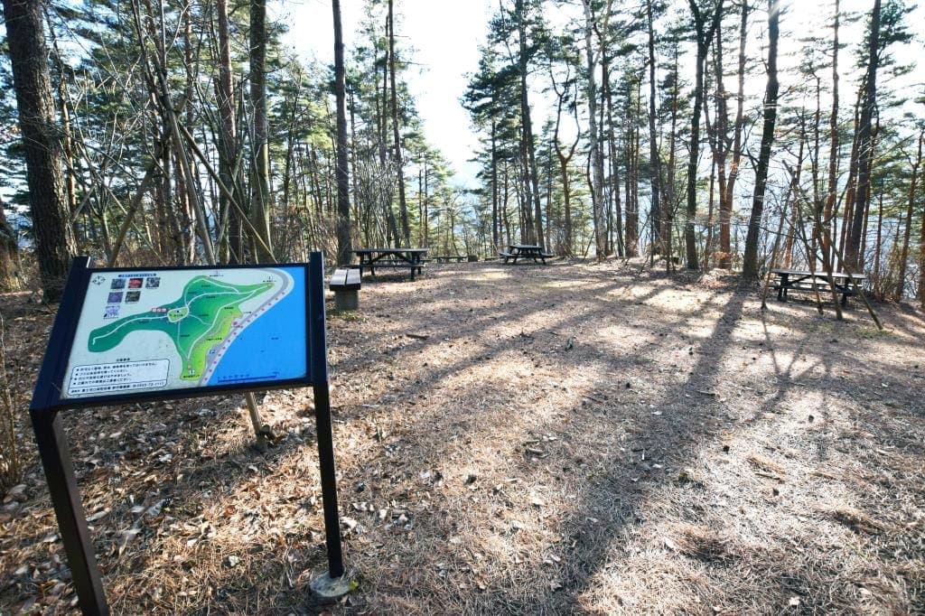 奥河口湖さくらの里公園 4
