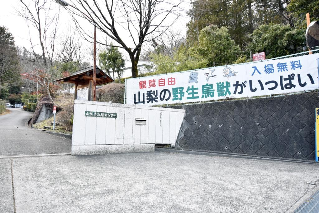 山梨県鳥獣センター 1