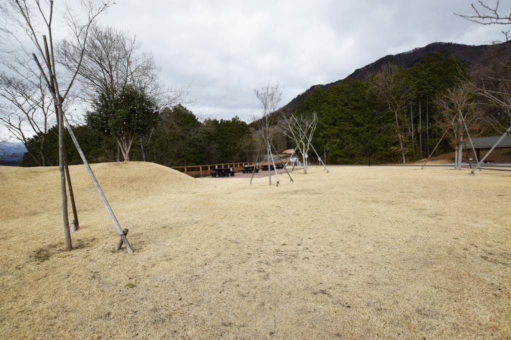 桂川ウェルネスパーク 5