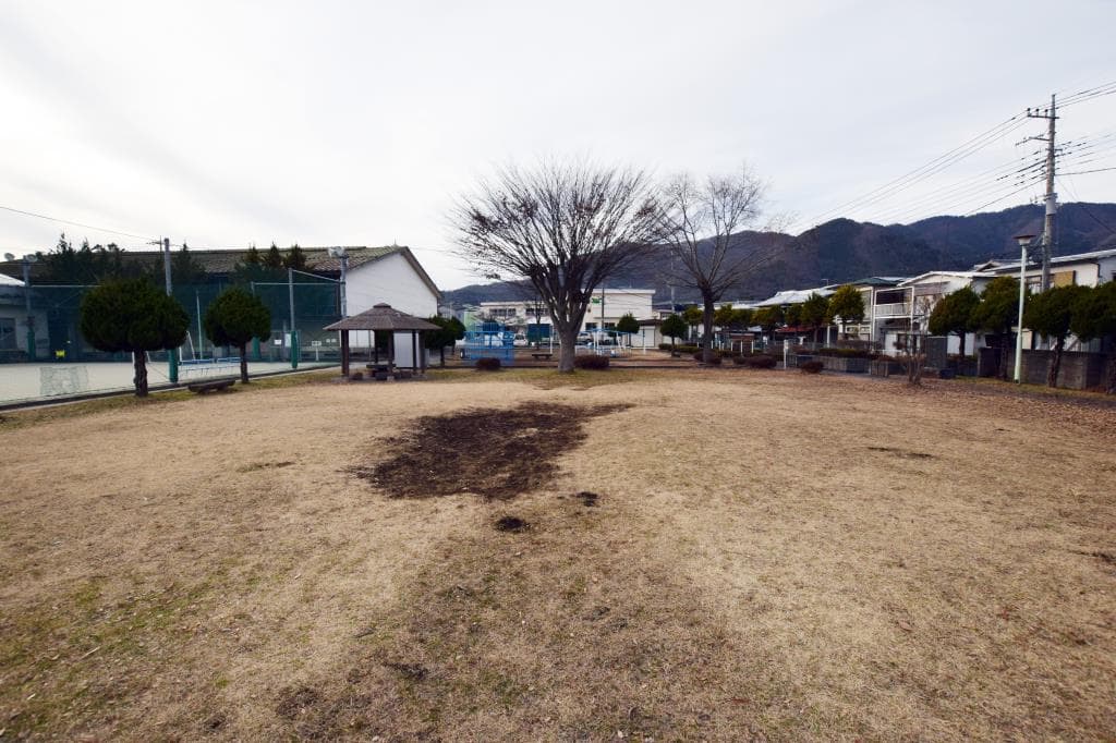 みずほ公園 5