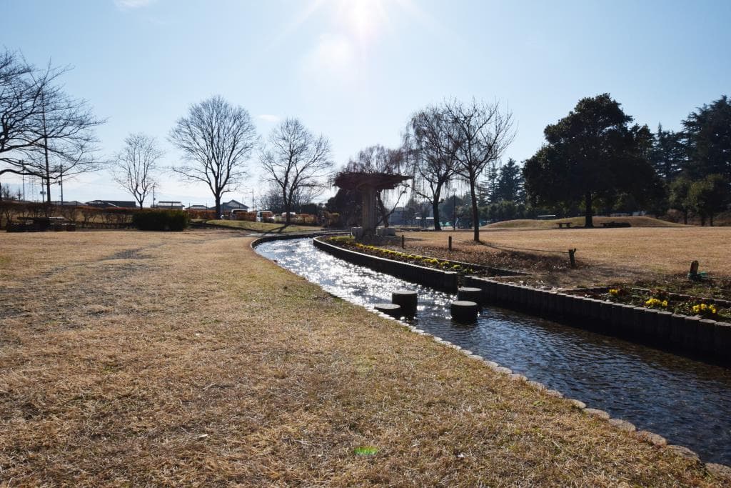 西八幡公園 2