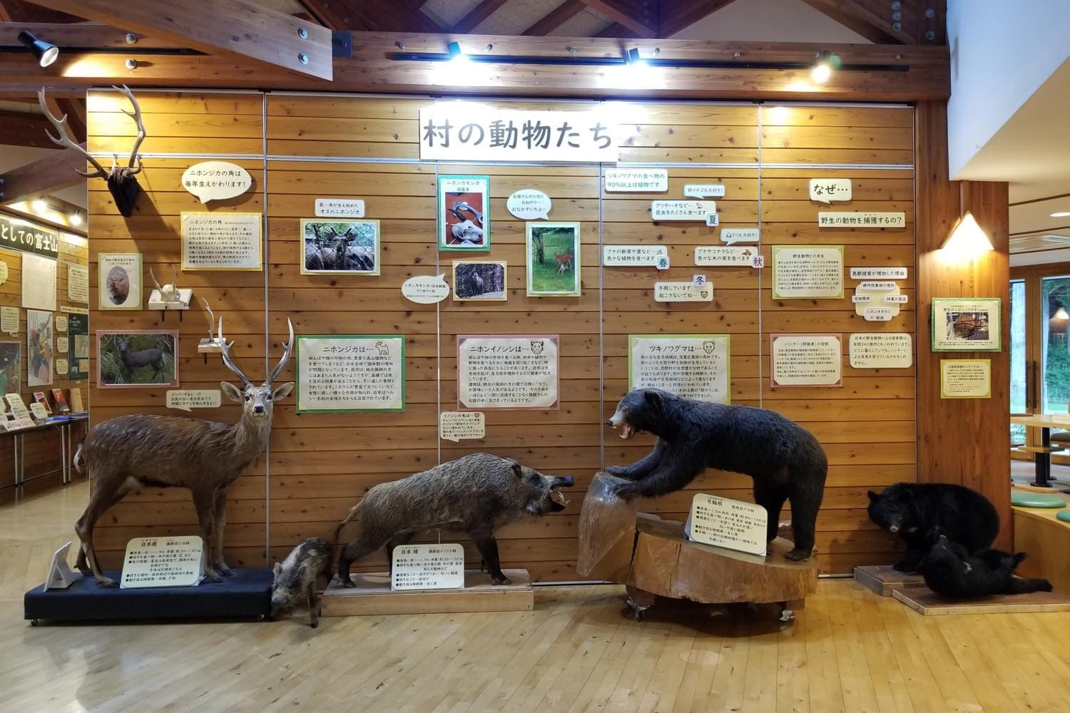 さかな公園 3